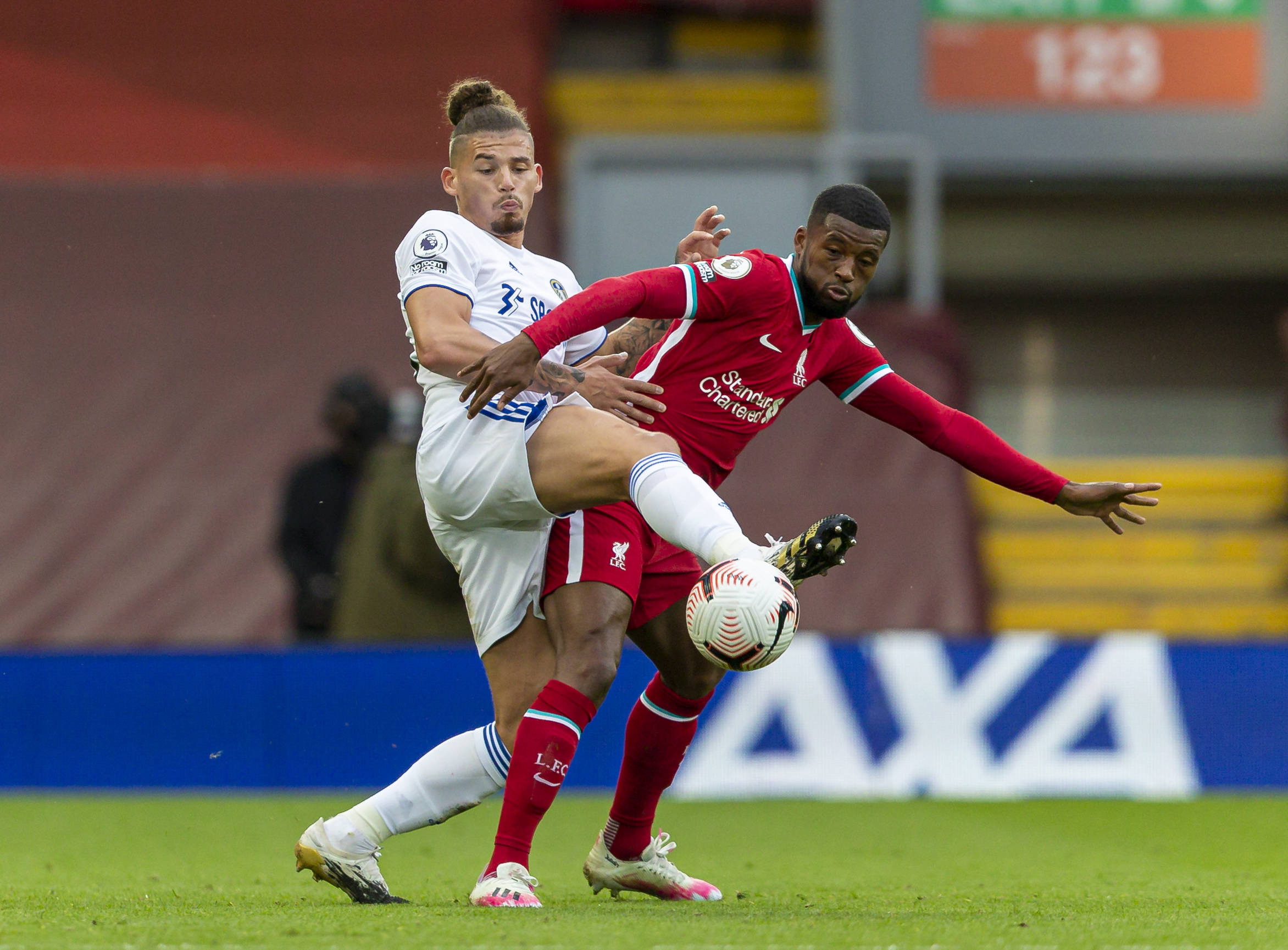 她都展示出 她都展示出