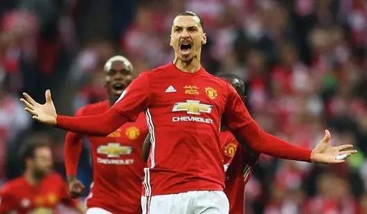 球迷热情的 球迷热情的