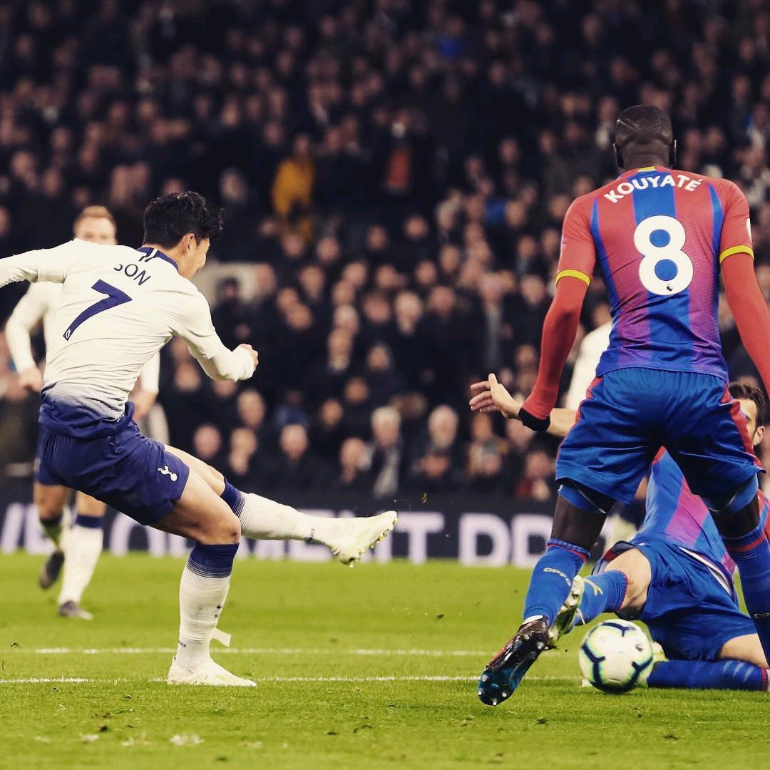 的最佳人选 的最佳人选